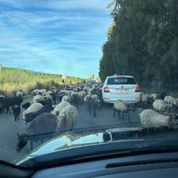 Netter Zwischenstopp