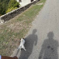 Begleitung haben wir sehr oft