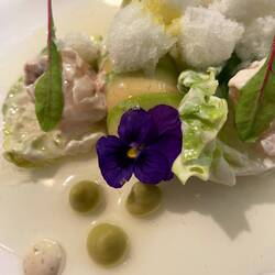 European lobster Cesar Salad