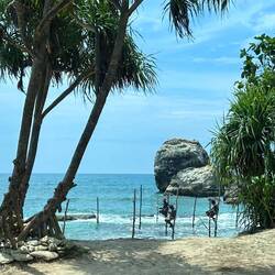 doch ein paar Stelzenfischer