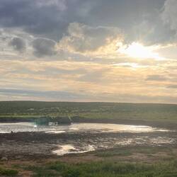 Im Wasser kämpfende Elefanten zum Sundowner