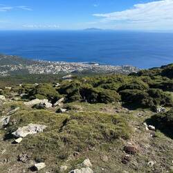 Blick auf Bastia vom Hausberg
