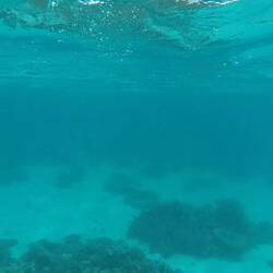 ... and snorkelling