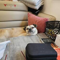 And at the end of the day we came home to this magnificent beast! 🤣