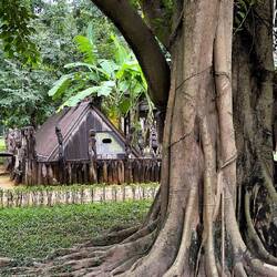 Impression aus der Aussenanlage