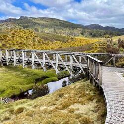 Bridge were Waldheim chalet path diverges from the others