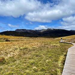 Boardwalk from Ronny Creek