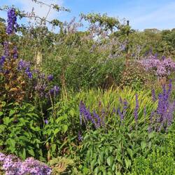 ... mit umwerfend vielfältigen Staudenrabatten