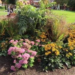 Blumenbeet im Kirchhof