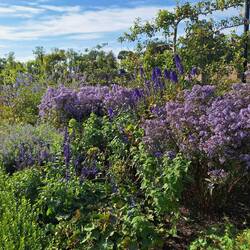 Darin gibt es einen restaurierten Küchengarten ...