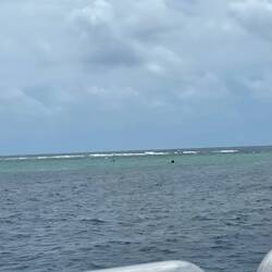 Rand vom Great Barrier Reef