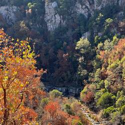 Maple, oak, and limestone