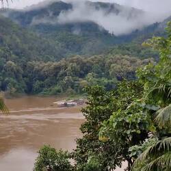 This was my view whilst having breakfast