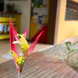 Pagalu Hostel, indem ich bereits das 3.Mal übernachtete 😍