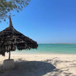 Salary Bay