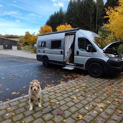 Nila passt auf, dass auch alles korrekt erledigt wird