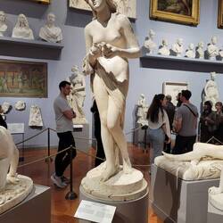 Dove release (in plaster gallery)