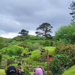 Hobbiton. Bilbo's house top of the hill