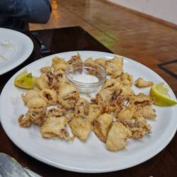 Tintenfisch Andalusischer Art