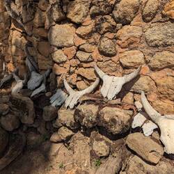 A cow is sacrificed here annually, seeking good fortune