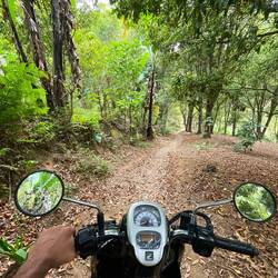 Driving with my scooter through the forest