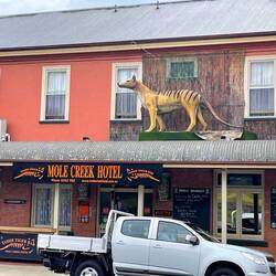Mole Creek Hotel