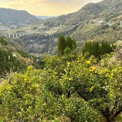 We need to cross that bridge!