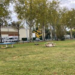 Stellplatz vis-à-vis vom See