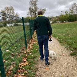 🐶Spaziergang
