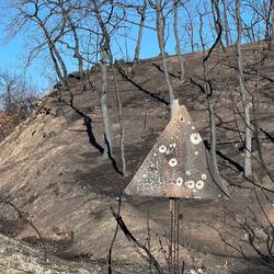 Even the road sign...