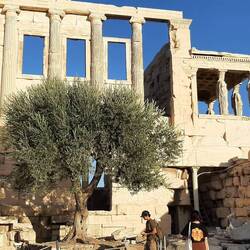 Athena struck a rock with her spear and produced the olive tree, an offering signifying fruitfulness