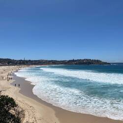 Bondi Beach