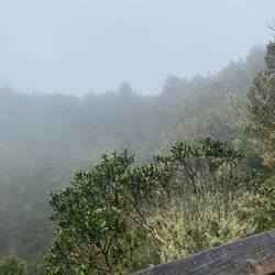 Do wär der Krater-isch chli näblig gsi oder brodlet der Vulkan?