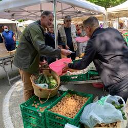 Shopping at the local market