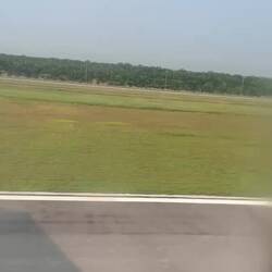 ziemlich eindrucksvolle Ausdehnung an Kokosnussplantagen