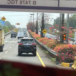 Jakarta: Blümchen an den Ausfallsstrassen