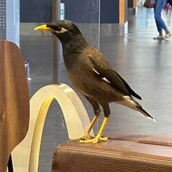 der hätte es genommen