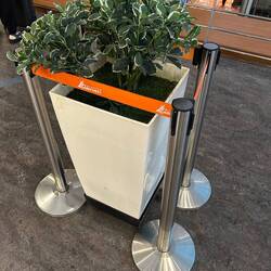 vor wem muss der denn geschützt werden?