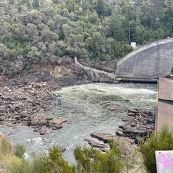 Water outlet at Trevellyn Dam and where the eels go up