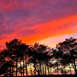 Sonnenuntergang so wie ich ihn mir wünsche 🤩🤩