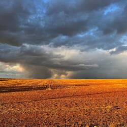 and unbelievable sunlight after the rain