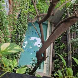 Airbnb Pool