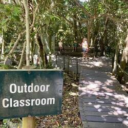 Remote Schooling