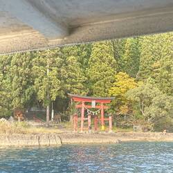 Shinto Tori
