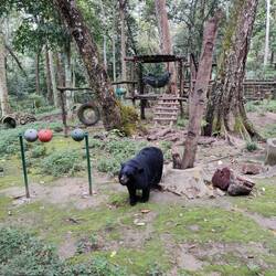 The park is also home to a bear sanctuary