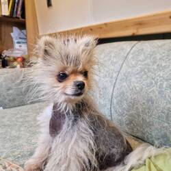 Leo looking a little bedraggled after a soggy cycle ride with Vicky
