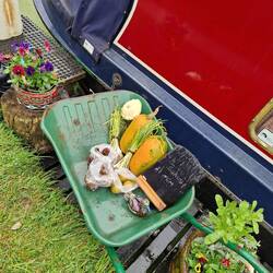 The honesty wheelbarrow outside a canal boat