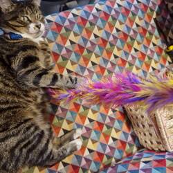 Abby enjoying some down time