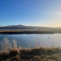 Pelican Point Sanctuary