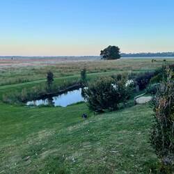 Pelican Point Sanctuary